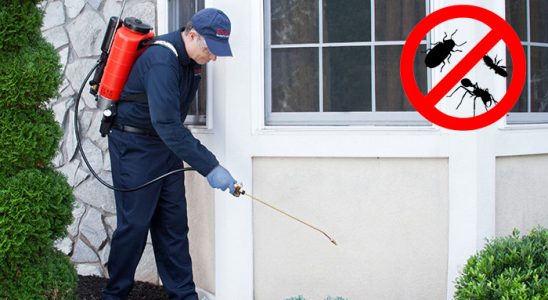 Bakırköy Bit İlaçlama böcek ilaçlama ve haşere kontrolü — ilaclama-tr.com